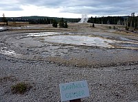 Yellowstone Old faithfull et ses environs (42).JPG